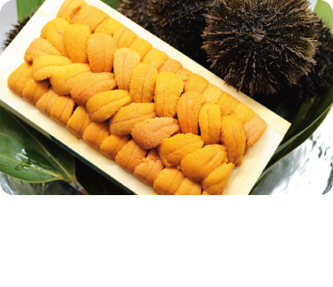 Ezo Bafun Uni (sea urchin)