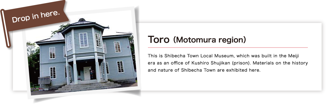 Toro （Motomura region）