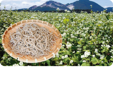 Mashu buckwheat noodles