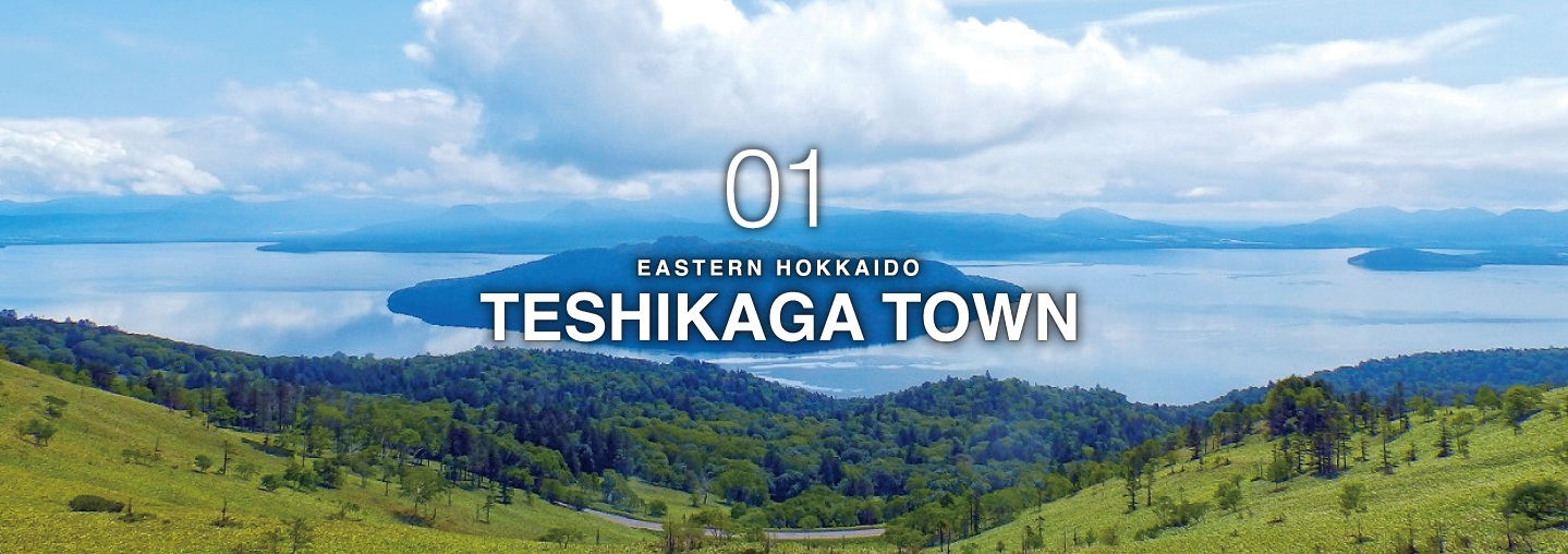 TESHIKAGA TOWN