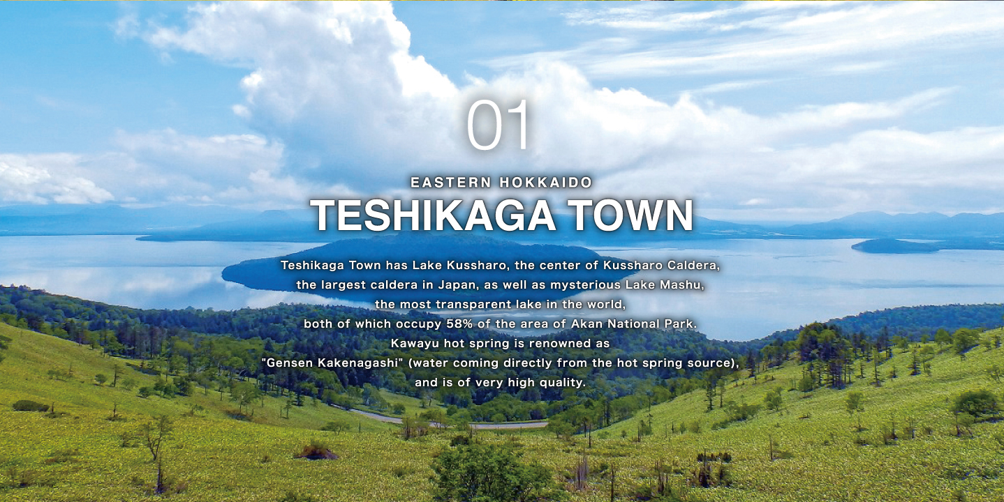 TESHIKAGA TOWN