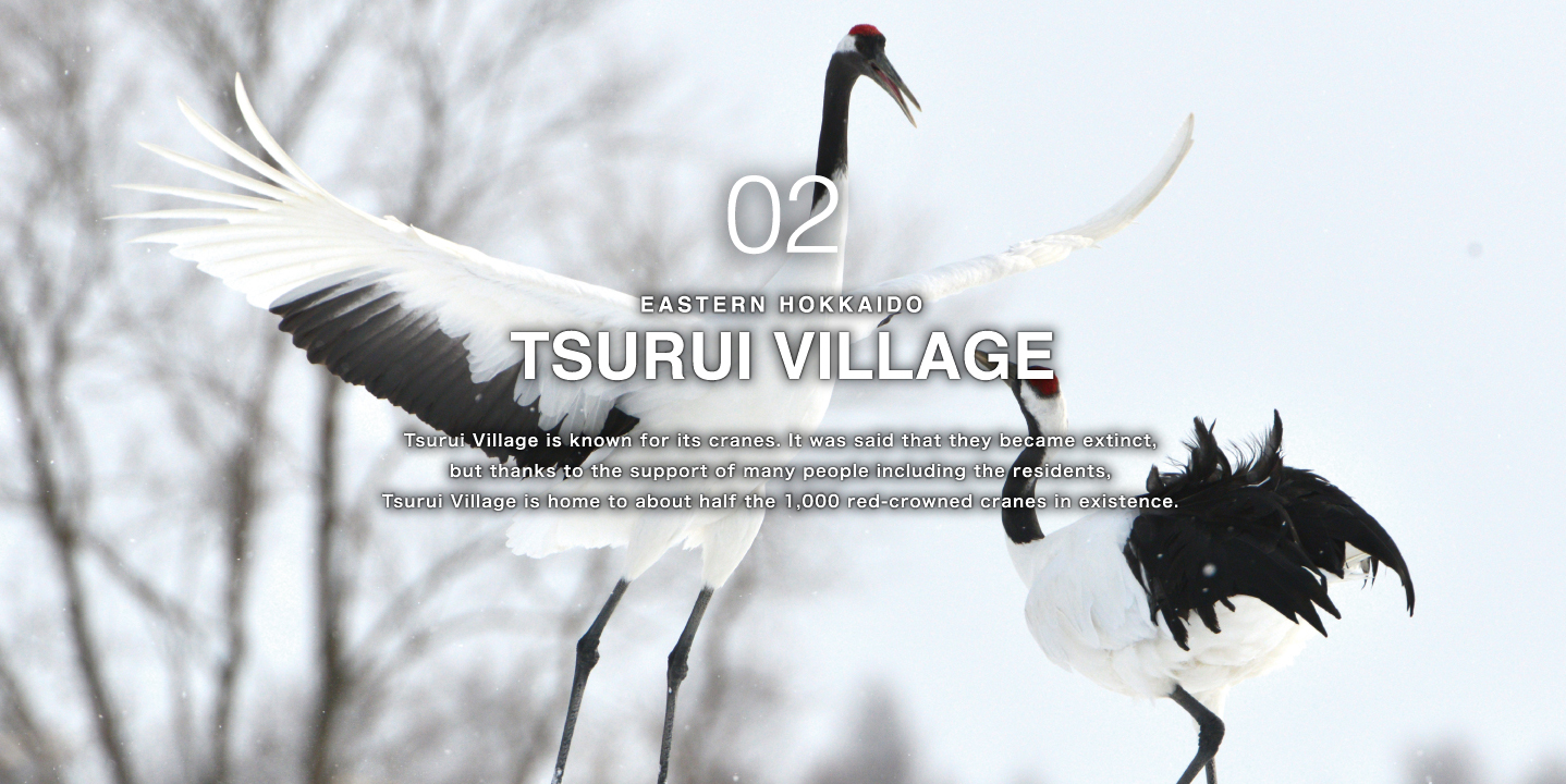 TSURUI VILLAGE